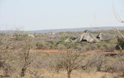 All About Marloth Park