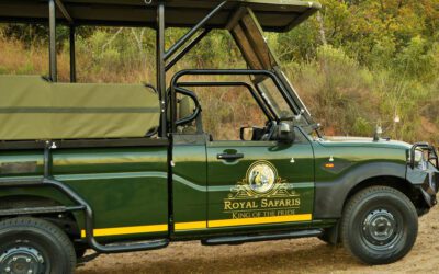 Why a Guided Kruger Park Tour is better than a Self-Drive